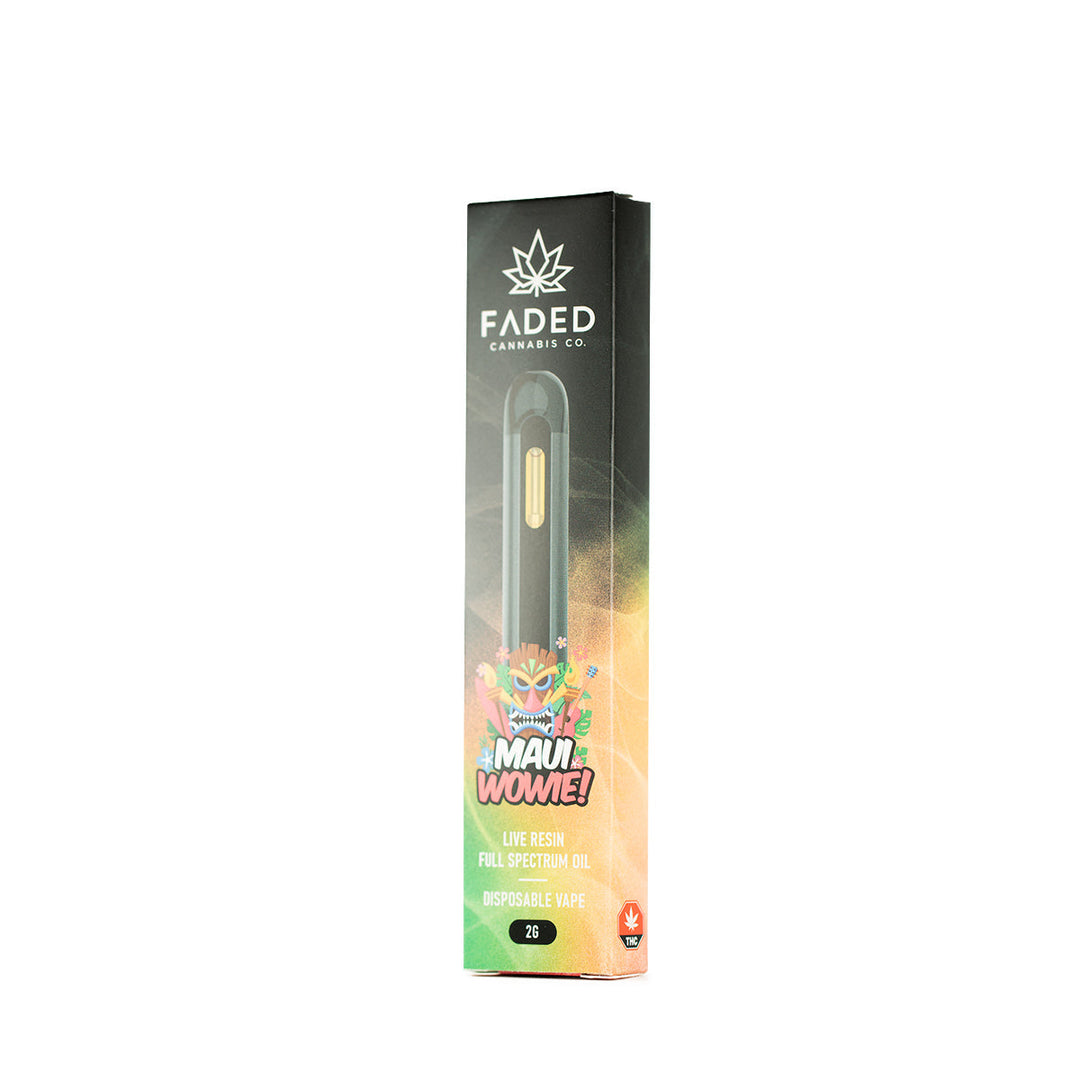 STYLO VAPE JETABLE AU THC DÉGRADÉ | 2000 MG