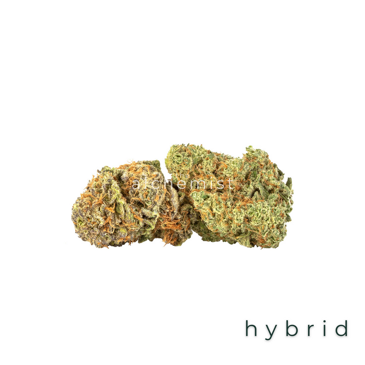 AAAA | LEMON BERRY - HYBRID