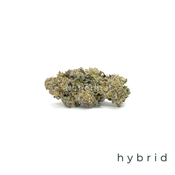 AAAA | MACFLURRY - HYBRID