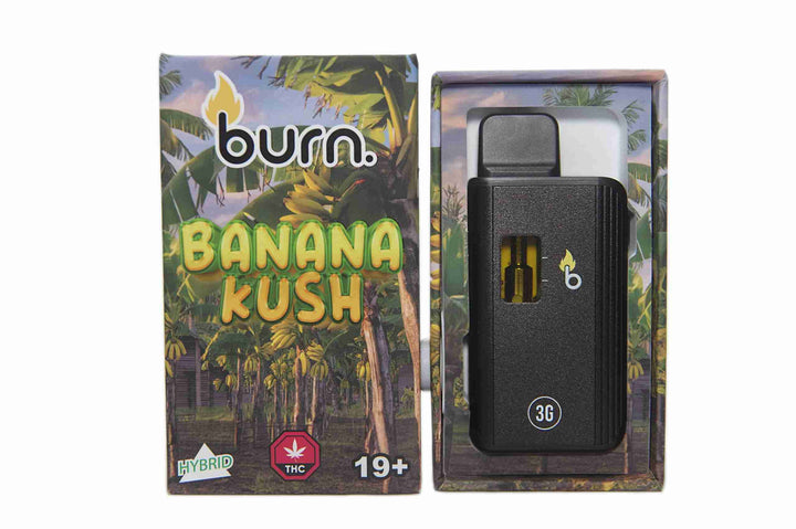 BURN. THC DISPOSABLE VAPE PEN | 3G