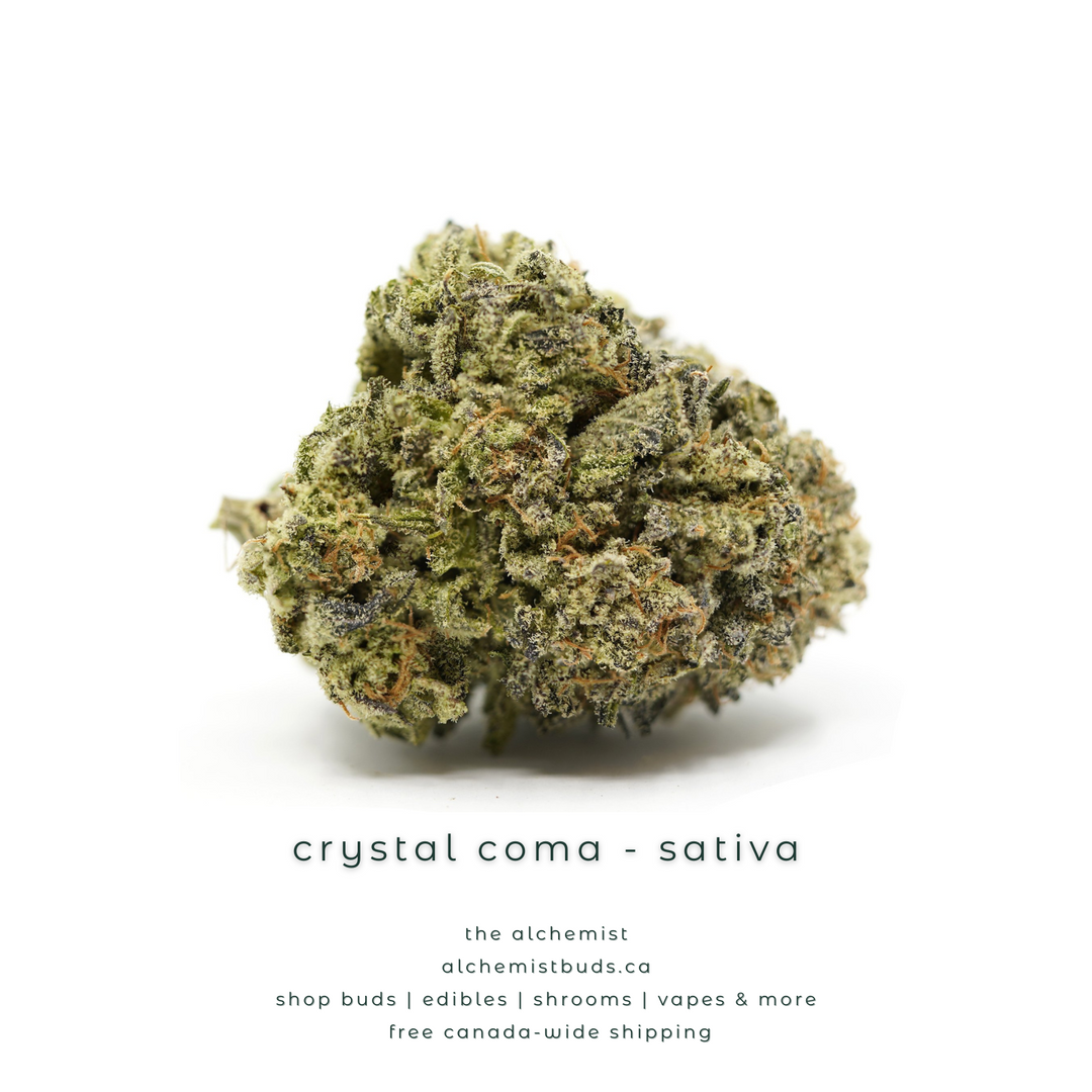 shop alchemistbuds.ca for best price on crystal coma strain