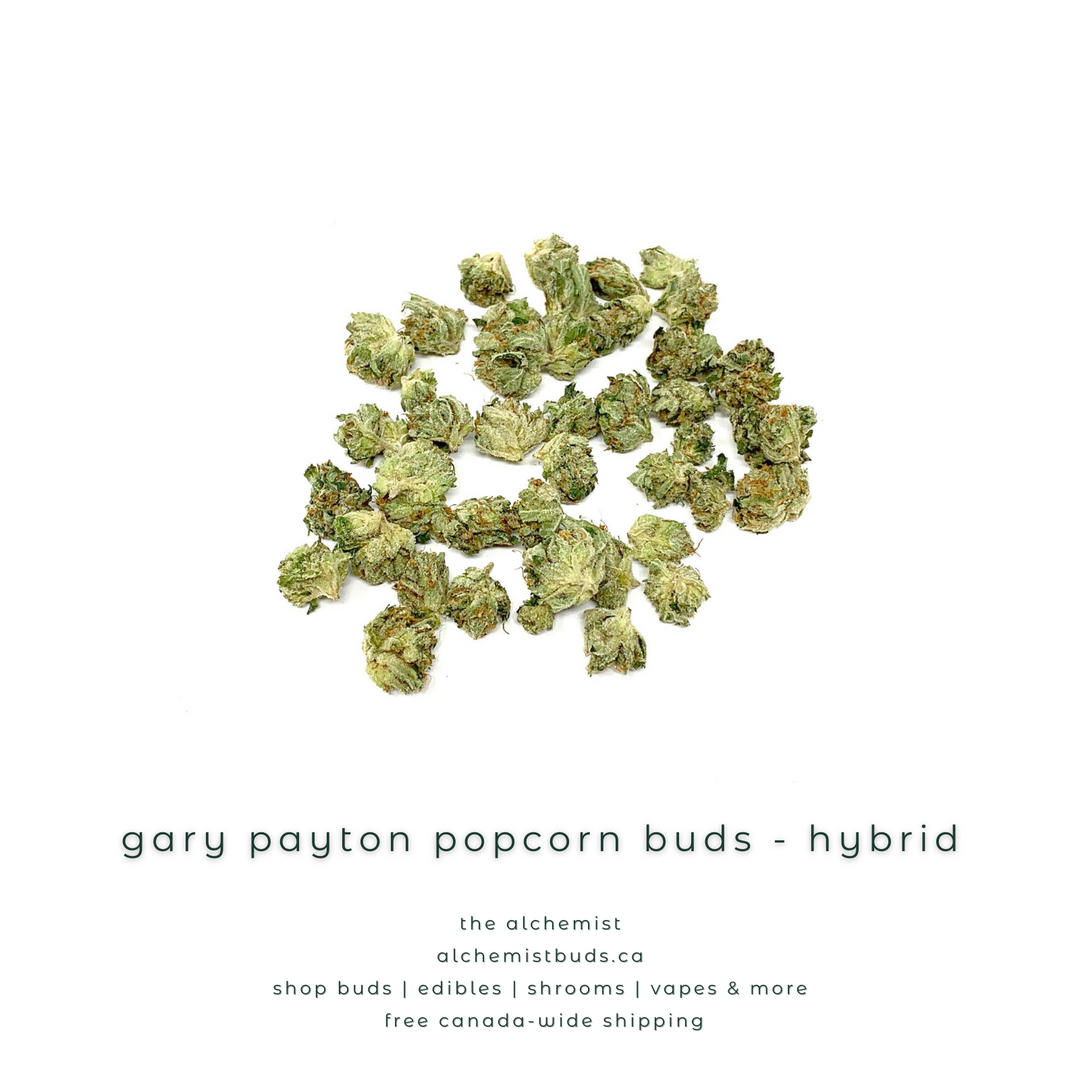 AAAA POPCORN BUDS | GARY PAYTON - HYBRID