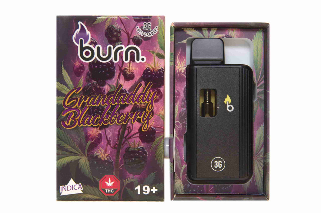 BURN. THC DISPOSABLE VAPE PEN | 3G