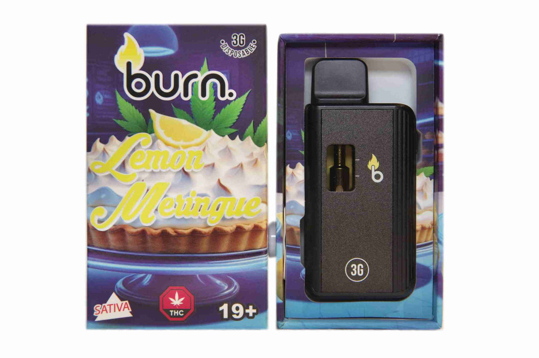 BURN. THC DISPOSABLE VAPE PEN | 3G
