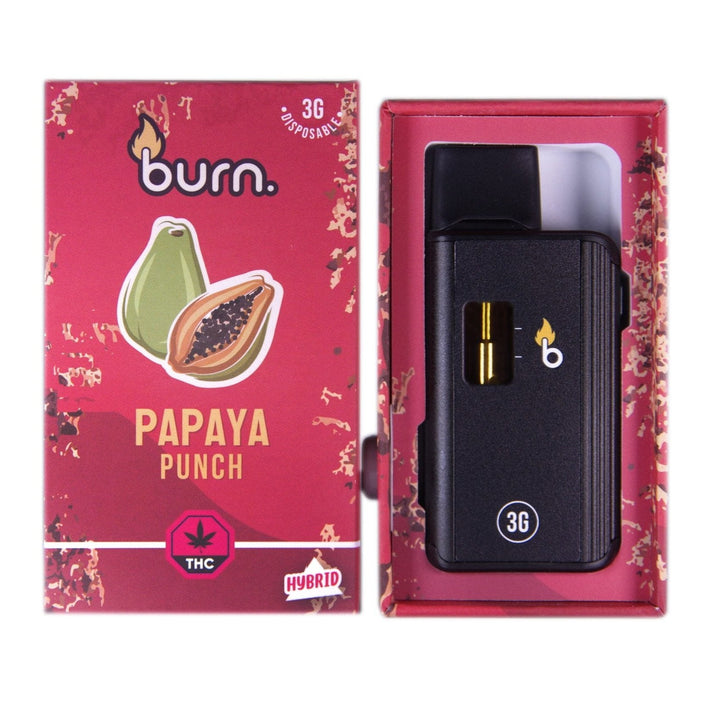 BURN. THC DISPOSABLE VAPE PEN | 3G