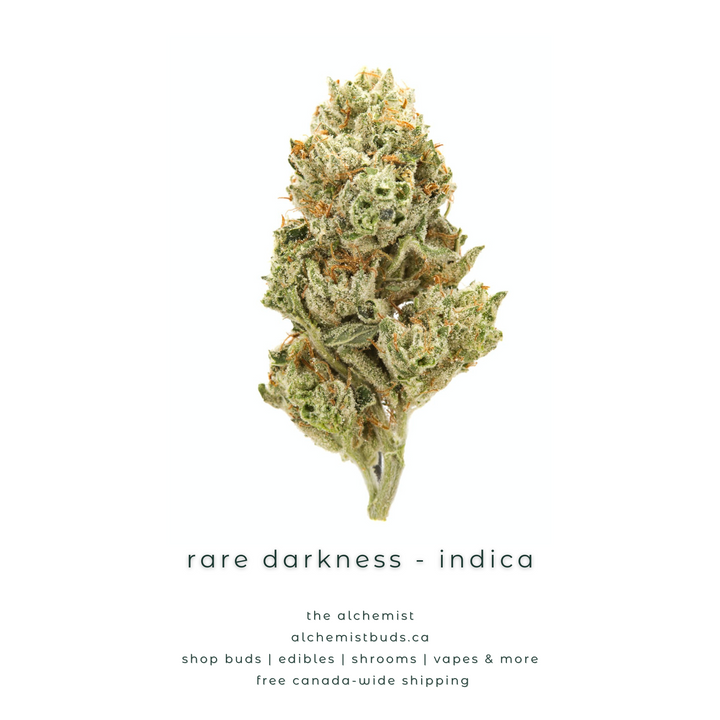 shop alchemistbuds.ca for best price on rare darkness strain