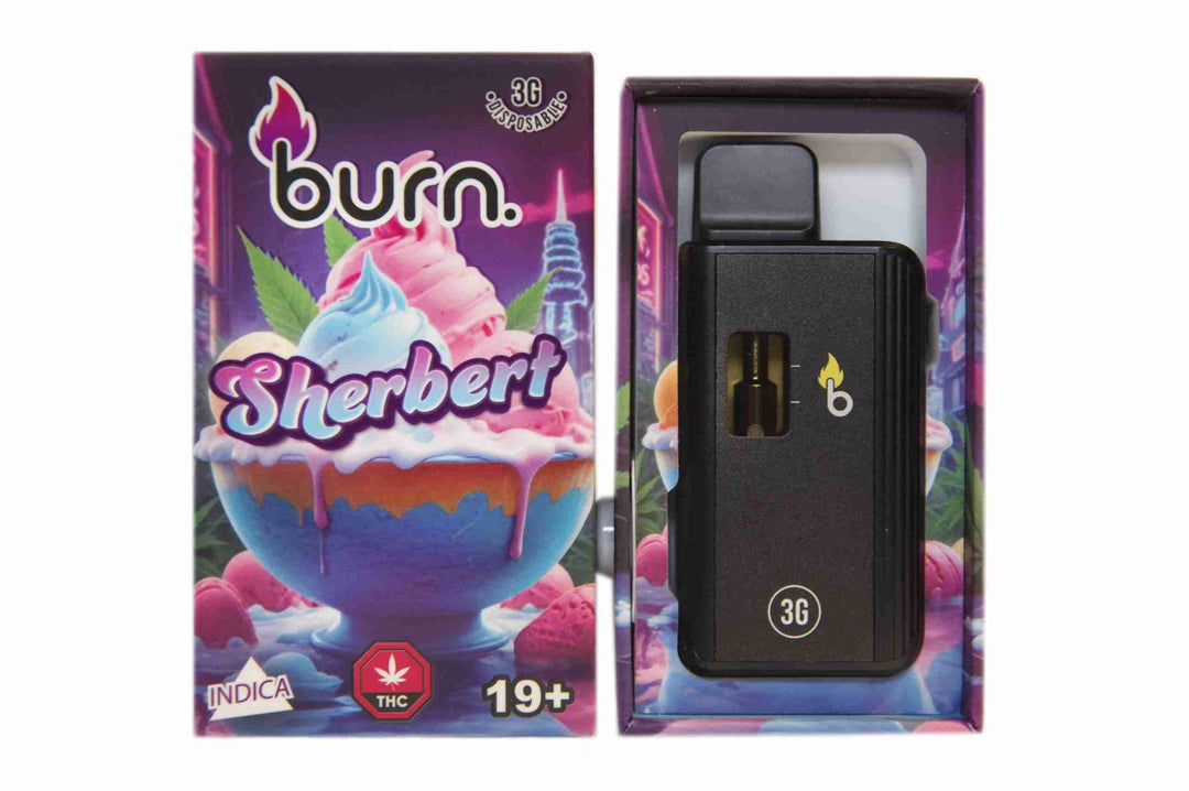 BURN. THC DISPOSABLE VAPE PEN | 3G