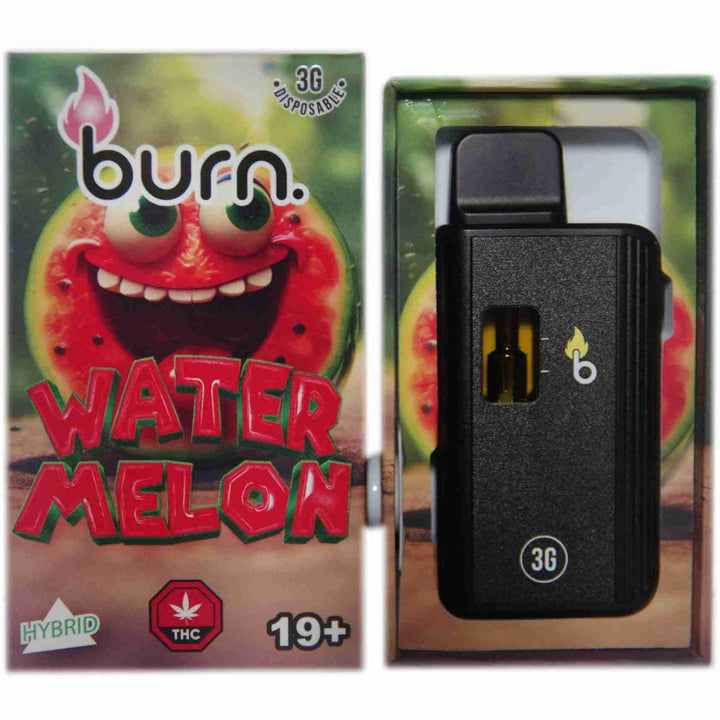 BURN. THC DISPOSABLE VAPE PEN | 3G