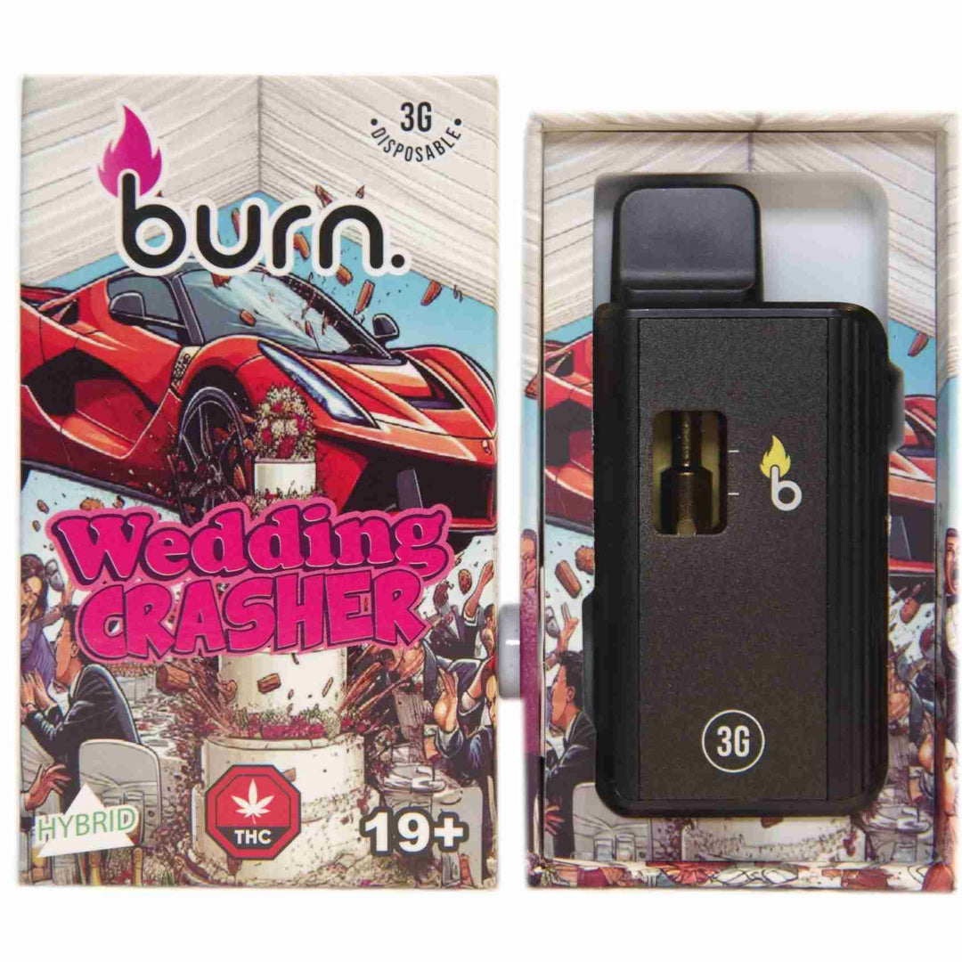 BURN. THC DISPOSABLE VAPE PEN | 3G